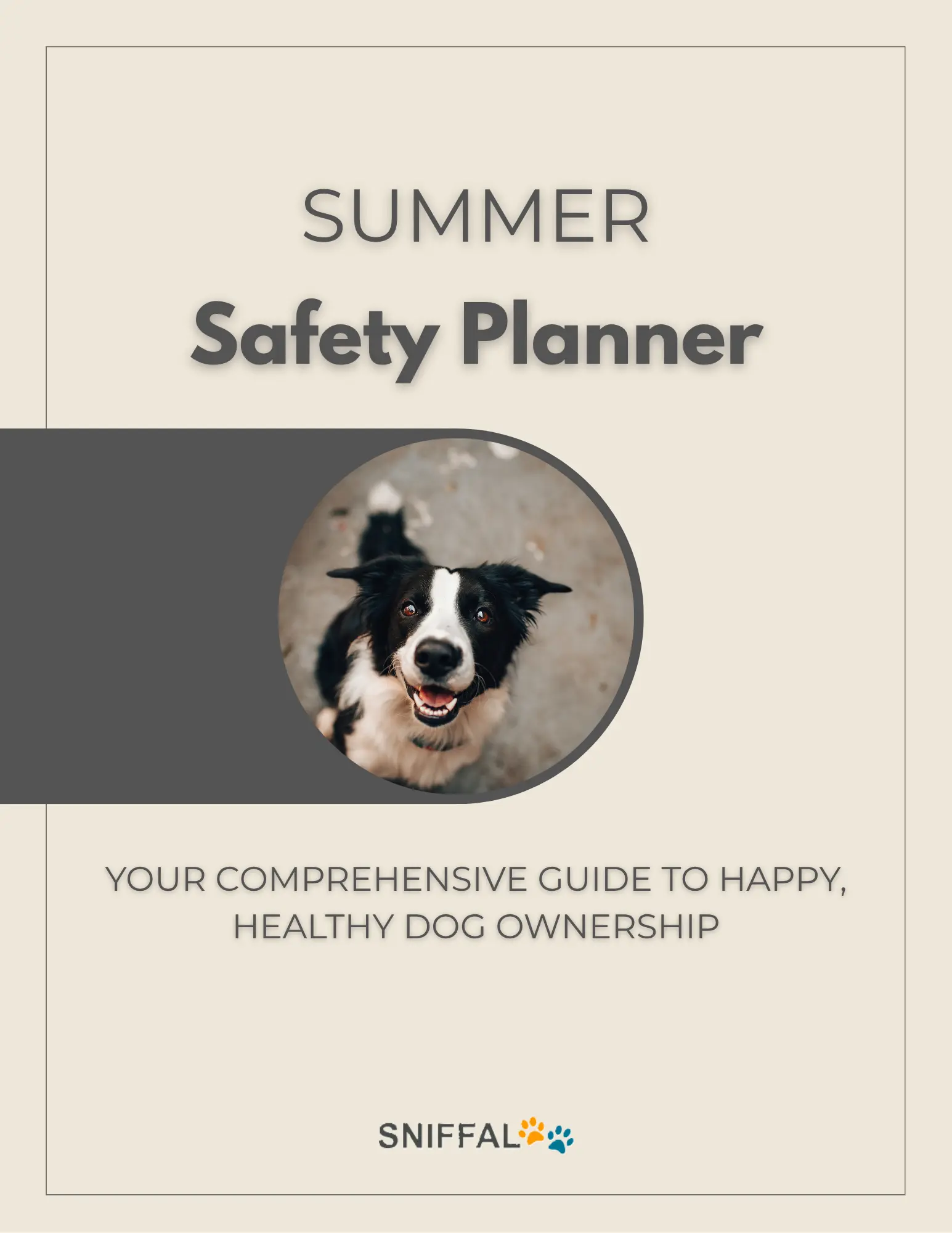 SUMMER Safety Planner – article image
